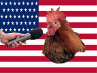 Создать мем Петух американский