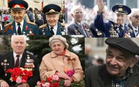 Создать мем sfd