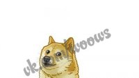 Создать мем WoW dog