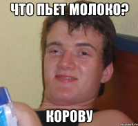 Что пьет молоко? Корову