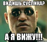 видишь суслика? А Я ВИЖУ!!!