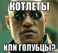 котлеты или голубцы?