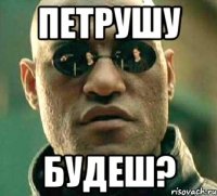 петрушу будеш?