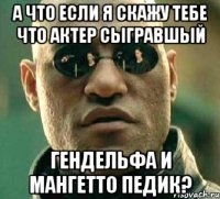 А что если я скажу тебе что актер сыгравшый Гендельфа и Мангетто педик?