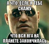 а что, есле я тебе скажу что вся яга на планете закончилась