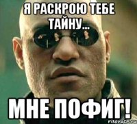 Я раскрою тебе тайну... Мне пофиг!