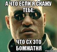 А что если я скажу тебе: Что СХ это бомжатня