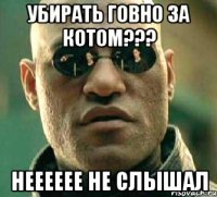 убирать говно за котом??? нееееее не слышал