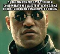 А что если команд EAST Stirling и Cowdenbeath не существует а это давид создал их в ФИФЕ 2014 и играет в Соньку 