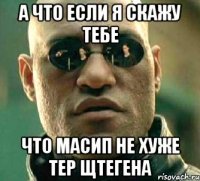 а что если я скажу тебе что Масип не хуже Тер Щтегена