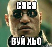 сяся вуй хьо