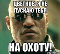 Цветков, я не пускаю тебя На охоту!