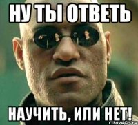 ну ты ответь научить, или нет!