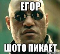 Егор шото пикает