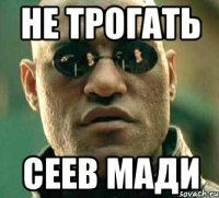 Не трогать Сеев мади