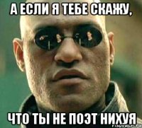 А если я тебе скажу, что ты не поэт нихуя