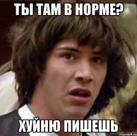 ты там в норме? хуйню пишешь