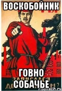 Воскобойник говно собачье