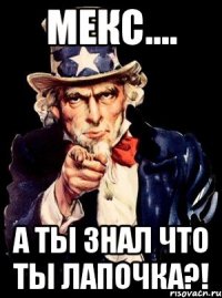 Мекс.... а ты знал что ты лапочка?!