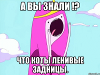 А вы знали !? Что коты ленивые задницы.