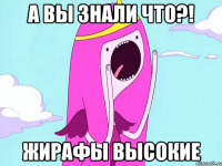 А вы знали что?! Жирафы высокие