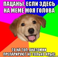 пацаны, если здесь на меме моя голова то на топ. анатомии препарируют не только крыс