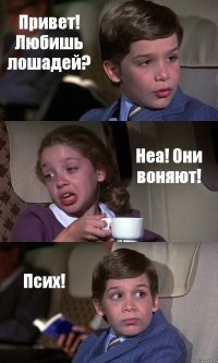 Привет! Любишь лошадей? Неа! Они воняют! Псих!