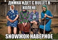 Димка идет с Bullet в колене snowжок наверное