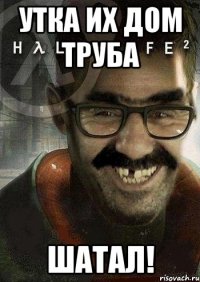 Утка их дом труба ШАТАЛ!