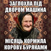 Заглохла під двором машина місяць кормила корову буряками