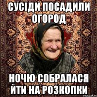 Сусіди посадили огород ночю собралася йти на розкопки