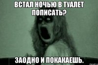 Встал ночью в туалет пописать? Заодно и покакаешь.