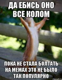 да ебись оно все колом пока не стала болтать на мемах это не было так популярно