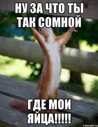 Ну за что ты так сомной ГДЕ МОИ ЯЙЦА!!!!!