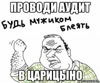 Проводи аудит В царицыно