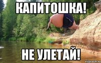 Капитошка! не улетай!