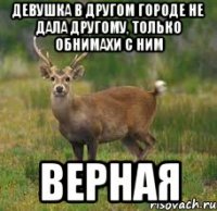 Девушка в другом городе не дала другому, только обнимахи с ним Верная