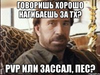 Говоришь хорошо нагибаешь за ТХ? PvP или зассал, пес?