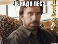Чё надо пёс? 