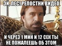 Эй, пес! Репостни видео и через 1 мин и 12 сек ты не пожалеешь об этом