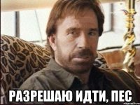  Разрешаю идти, пес
