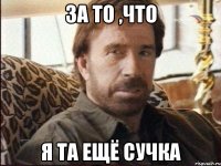 За то ,что Я та ещё сучка