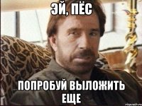 эй, пёс попробуй выложить еще