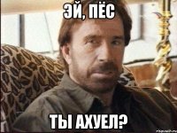 Эй, пёс Ты ахуел?