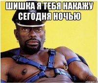 шишка я тебя накажу сегодня ночью 
