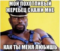 Мой похотливый жеребец скажи мне как ты меня любишь