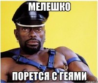 мелешко порется с геями