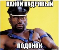 Какой кудрявый подонок