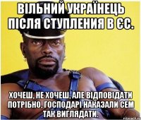Вільний Українець після ступления в ЄС. Хочеш, не хочеш, але відповідати потрібно, господарі наказали сем так виглядати.
