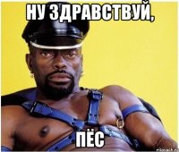 Ну здравствуй, Пёс